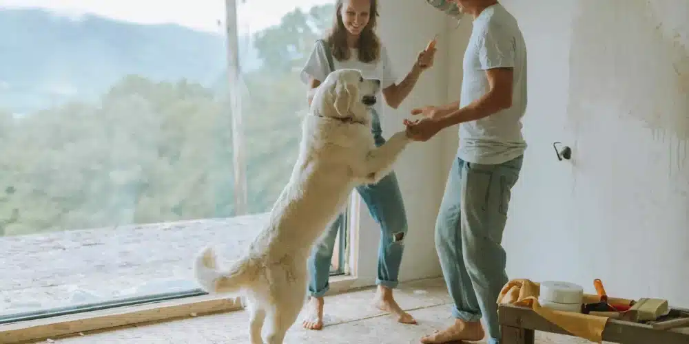 Couple painting a room with a playful dog dancing around them, near a large window with a scenic view.