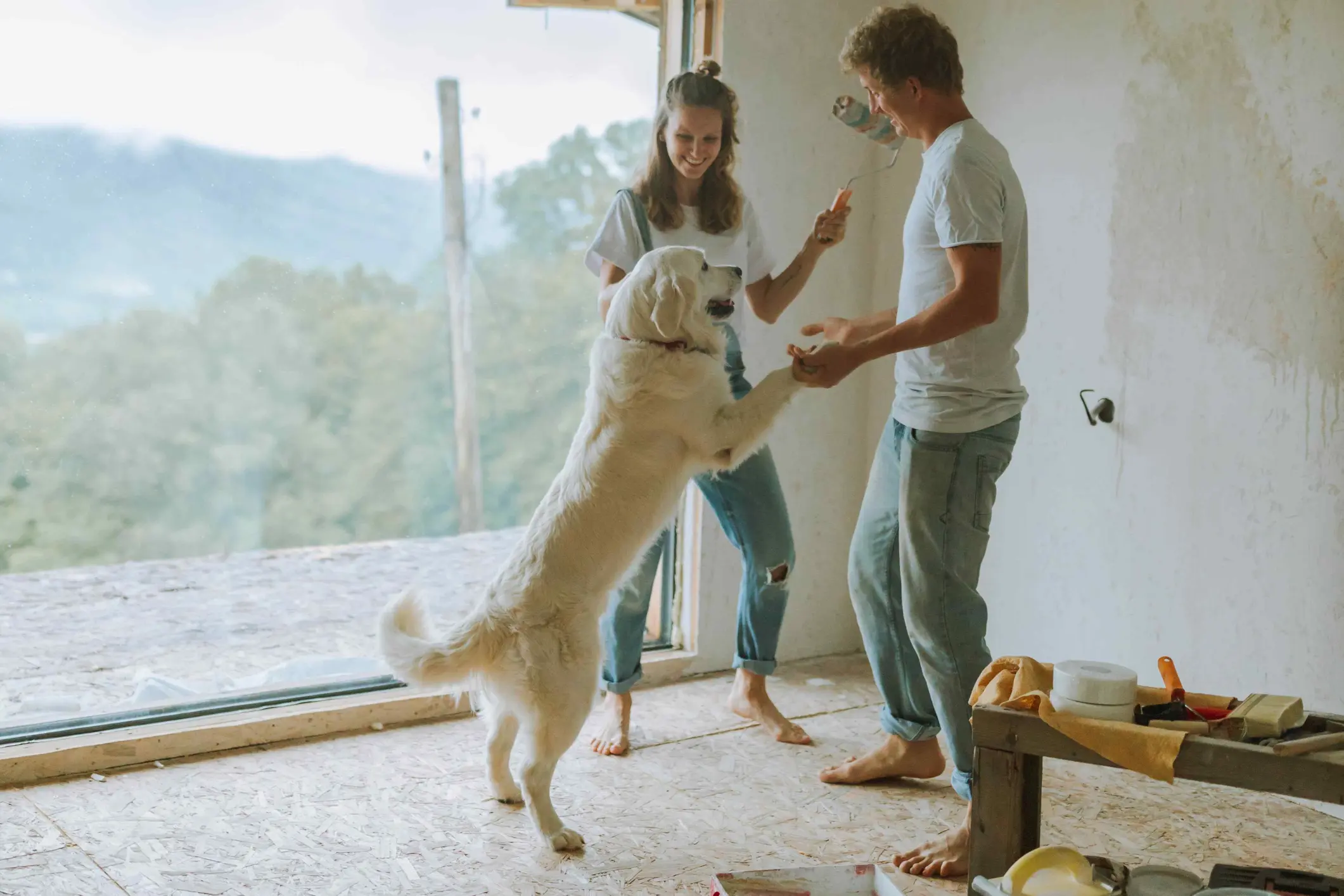 Couple painting a room with a playful dog dancing around them, near a large window with a scenic view.